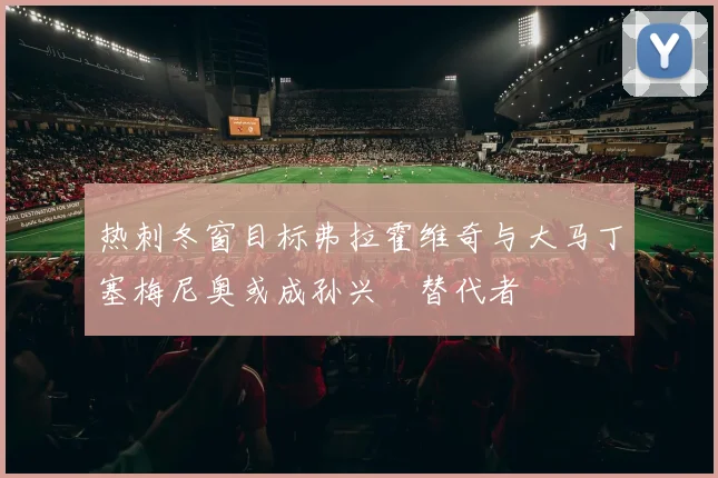 热刺冬窗目标弗拉霍维奇与大马丁塞梅尼奥或成孙兴慜替代者