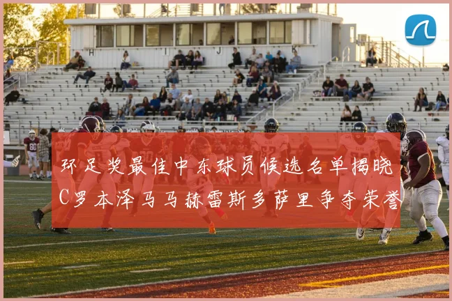 环足奖最佳中东球员候选名单揭晓C罗本泽马马赫雷斯多萨里争夺荣誉