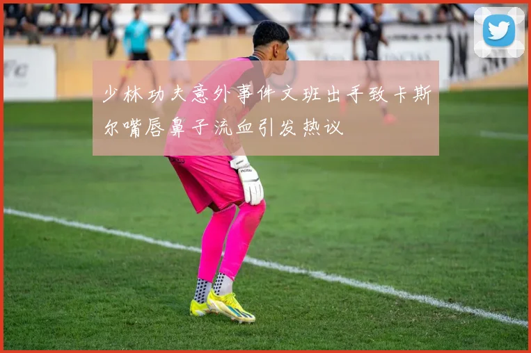 少林功夫意外事件文班出手致卡斯尔嘴唇鼻子流血引发热议