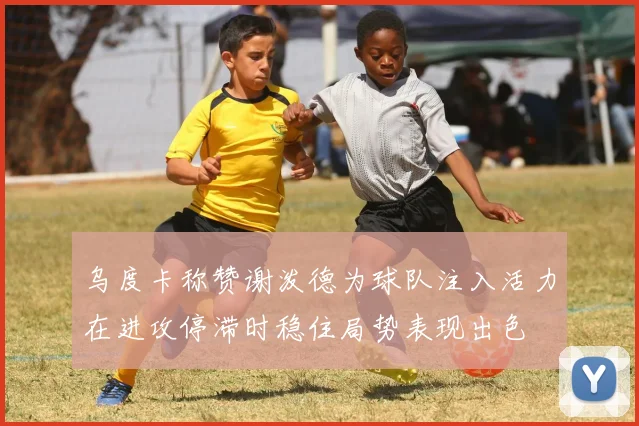 乌度卡称赞谢泼德为球队注入活力在进攻停滞时稳住局势表现出色