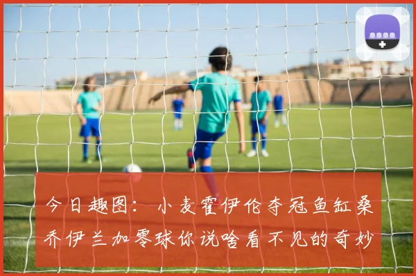 今日趣图：小麦霍伊伦夺冠鱼缸桑乔伊兰加零球你说啥看不见的奇妙瞬间